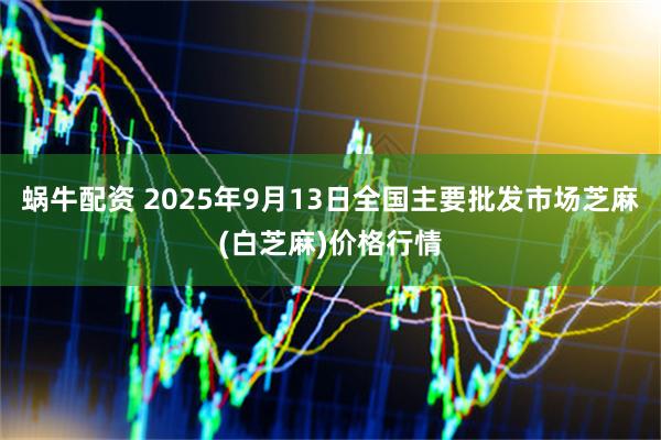 蜗牛配资 2025年9月13日全国主要批发市场芝麻(白芝麻)价格行情