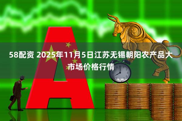 58配资 2025年11月5日江苏无锡朝阳农产品大市场价格行情