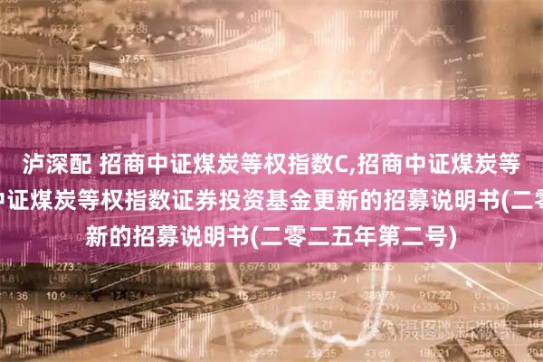 泸深配 招商中证煤炭等权指数C,招商中证煤炭等权指数E: 招商中证煤炭等权指数证券投资基金更新的招募说明书(二零二五年第二号)