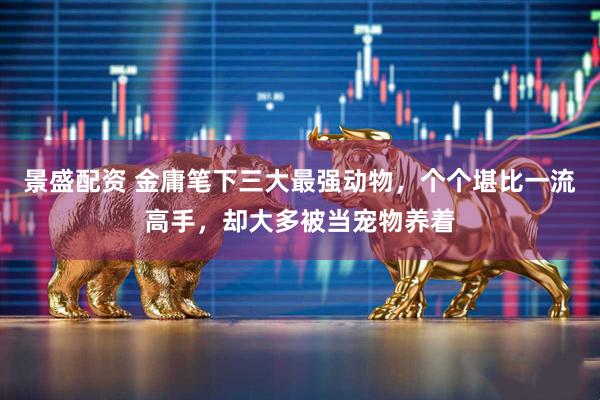 景盛配资 金庸笔下三大最强动物，个个堪比一流高手，却大多被当宠物养着