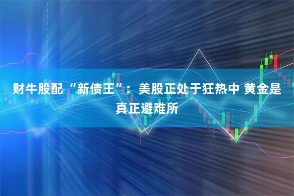 财牛股配 “新债王”：美股正处于狂热中 黄金是真正避难所