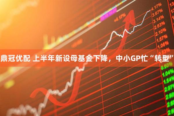 鼎冠优配 上半年新设母基金下降，中小GP忙“转型”