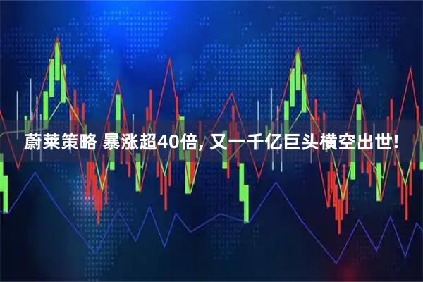 蔚莱策略 暴涨超40倍, 又一千亿巨头横空出世!